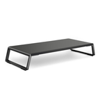Desktop Monitor Stand with under desk storage
