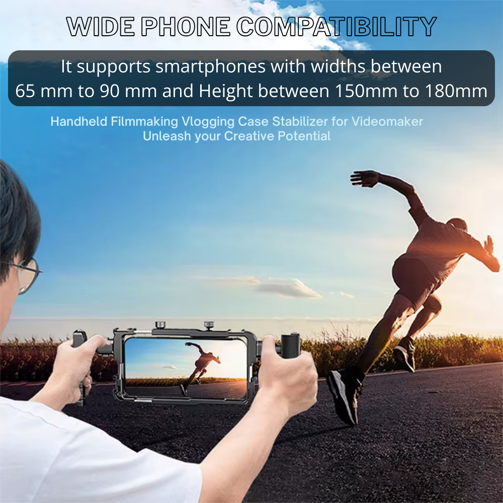mobile video stabilizer with dual handles