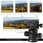 Camera Mount Head, Aluminum Tripod Head, Ball Head for DSLR, Tripod Head with Bubble Level, Arca Type Ball Head