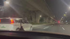 Electric Suction Cup Camera Mount with Z Shock Absorber Arm