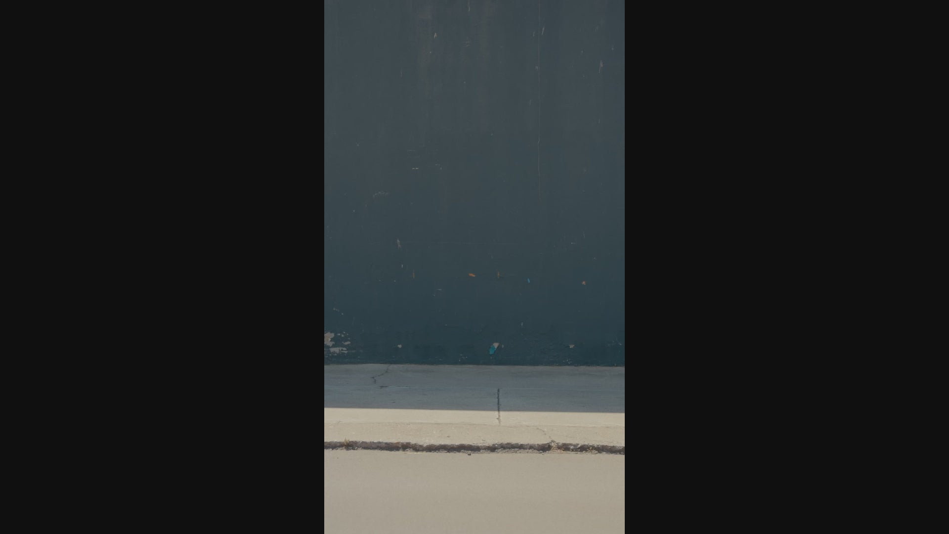 professional film gear cart
