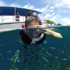 Telesin 6 InchGoPro Dome Port For Half Underwater Photography For GoPro Hero 5 & 6