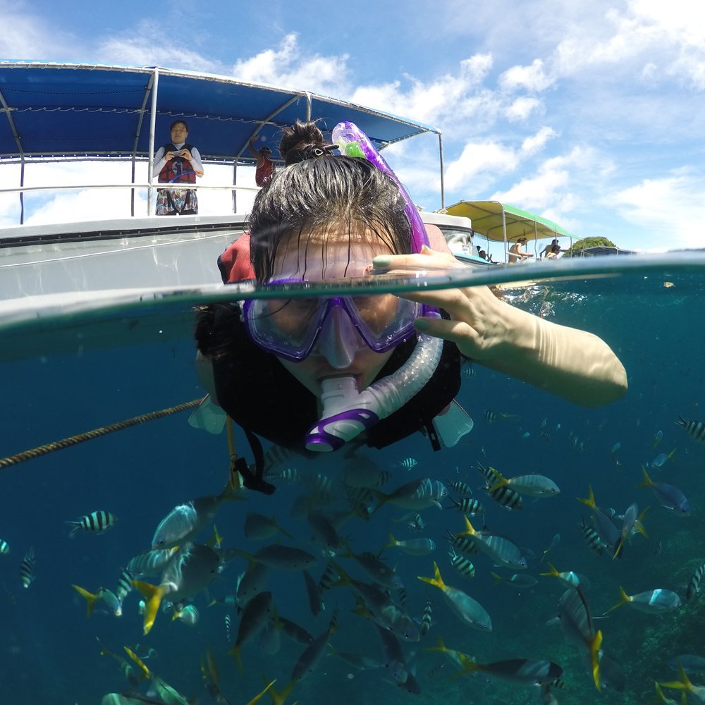 Telesin 6 InchGoPro Dome Port For Half Underwater Photography For GoPro Hero 5 & 6